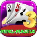 rr3 - Gaming Master